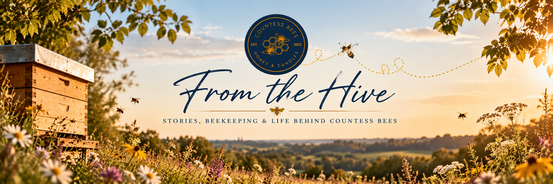Welcome From The Hive